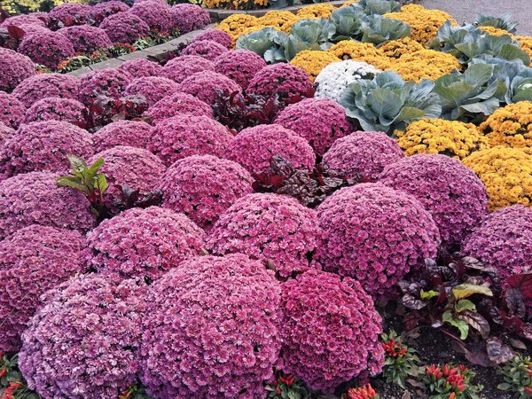 Rondelle frein : quelle est son utilité ?