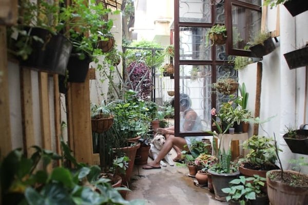 Quel type de chauffage extérieur choisir pour une terrasse ouverte sur le jardin?